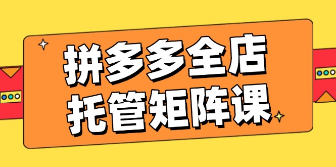 拼多多全店托管矩阵课，盈利动销玩法，高效计划设置，提升店铺效益-皮皮网创