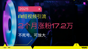 2025AI短视频引流，2个月涨粉17.2万，不死号，可放大-皮皮网创