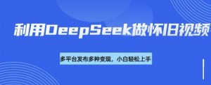 利用DeepSeek做怀旧视频，流量号多渠道变现能力强-皮皮网创
