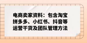 电商卖家资料：包含淘宝、拼多多、小红书、抖音等运营干货及团队管理方法-皮皮网创