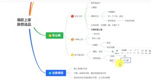 苏博士·淘宝精细化铺货运营陪跑(部分更新至2025)-皮皮网创