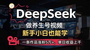 小白用DeepSeek做养生号，一条作品涨粉5万+，单日收益上千-皮皮网创