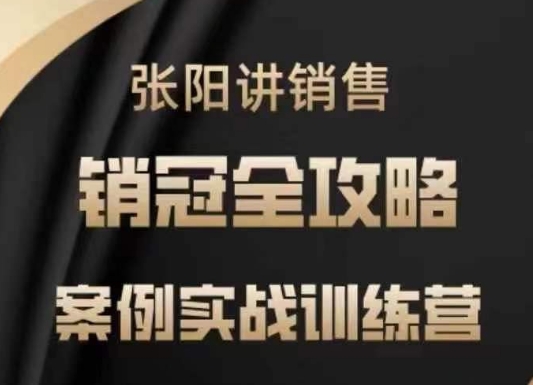 张阳讲销售实战训练营，​案例实战训练，销冠全攻略-皮皮网创