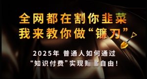 知识付费如何做到月入过W+,2025我来教你做“镰刀”【揭秘】-皮皮网创