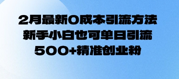 2月最新0成本引流方法，新手小白也可单日引流500+精准创业粉-皮皮网创