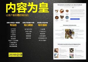 刘老师·外贸询盘增长秘籍从0到1的实战指南-皮皮网创