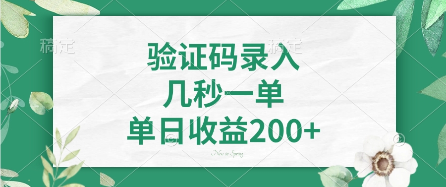 验证码录入，几秒一单，单日收益200+-皮皮网创