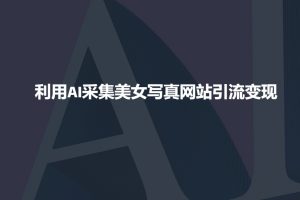 利用AI采集美女写真网站引流变现，引流嘎嘎的-皮皮网创