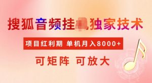 首发搜狐音频挂JI，项目红利期，可矩阵可放大，稳定月入5k【揭秘】-皮皮网创