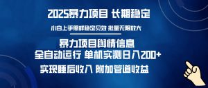 暴力项目舆情信息：多平台全自动运行 单机日入200+ 实现睡后收入-皮皮网创