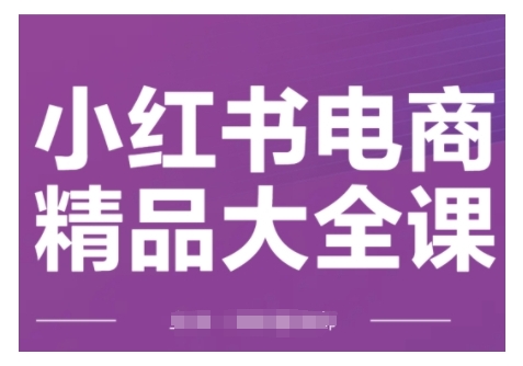 小红书电商精品大全课，快速掌握小红书运营技巧，实现精准引流与爆单目标，轻松玩转小红书电商(更新2月)-皮皮网创