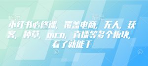 小红书必修课,覆盖电商,无人,获客,种草,mcn,直播等多个板块,看了就能干-皮皮网创