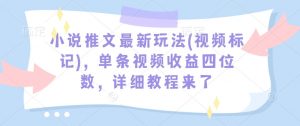小说推文最新玩法(视频标记)，单条视频收益四位数，详细教程来了-皮皮网创