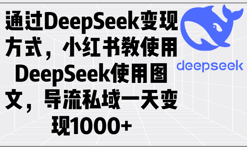通过DeepSeek变现方式，小红书教使用DeepSeek图文，导流私域一天变现1000+-皮皮网创