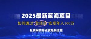 2025最新蓝海项目，零门槛轻松复制，月入10万+，新手也能操作！-皮皮网创