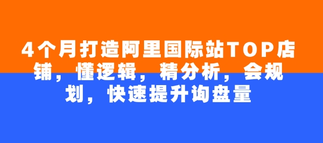4个月打造阿里国际站TOP店铺，懂逻辑，精分析，会规划，快速提升询盘量-皮皮网创
