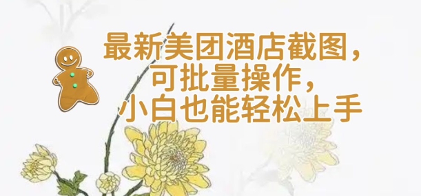【轻云】最新美团酒店截图，可批量操作，小白也能轻松上手-皮皮网创