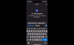 deepseek+小红书打造流量生产线实操课-皮皮网创