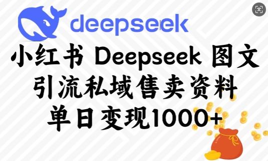 小红书Deepseek图文引流私域售卖资料，单日变现多张-皮皮网创
