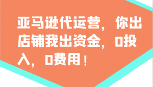 亚马逊代运营,你出店铺我出资金,0投入,0费用,无责任每天300分红,赢亏我承担-皮皮网创