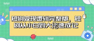 短剧变现逻辑完整版，短剧从小白到大佬速成记-皮皮网创