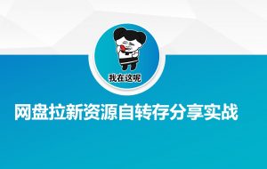网盘拉新资源自动转存分享实战-皮皮网创
