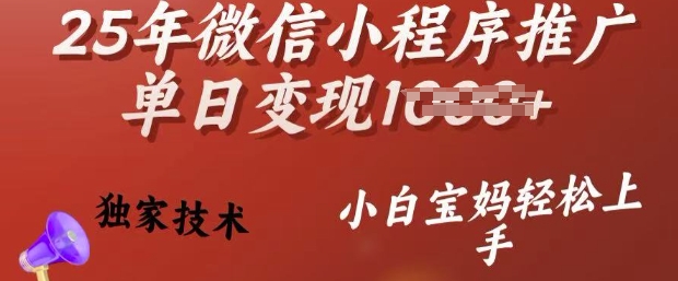 25年微信小程序推广单日变现多张，独家技术，小白宝妈轻松上手【揭秘】-皮皮网创
