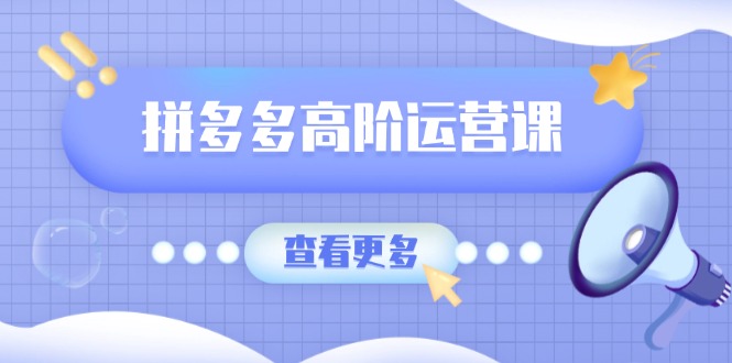 拼多多高阶运营课：极致群爆款玩法，轻付费无尽复制，打造单品爆款之路-皮皮网创