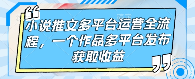 小说推文多平台运营全流程，一个作品多平台发布获取收益-皮皮网创