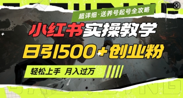 2月小红书最新日引500+创业粉实操教学【超详细】小白轻松上手，月入1W+，附小红书养号起号SOP-皮皮网创