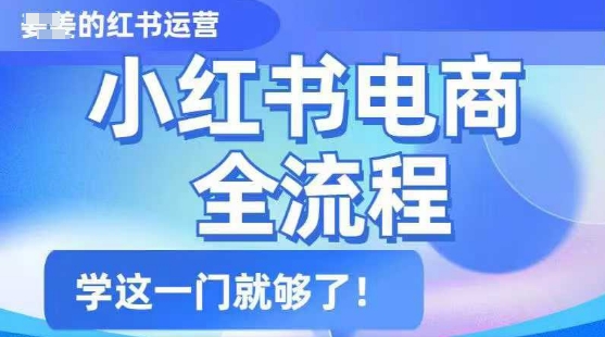 小红书电商全流程，精简易懂，从入门到精通，学这一门就够了-皮皮网创