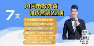 AI闪电做外贸训练营第22期：Al快速选品+小白1小时完成独立站搭建+10分钟获取200个客户等-皮皮网创