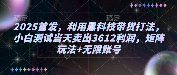2025首发，利用黑科技带货打法，小白测试当天卖出3612利润，矩阵玩法+无限账号【揭秘】-皮皮网创