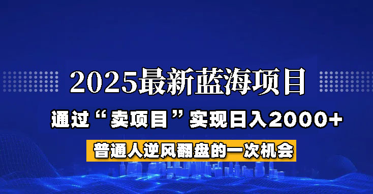 2025年蓝海项目，如何通过“网创项目”日入2000+-皮皮网创