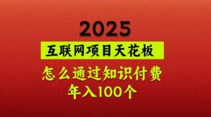 2025项目天花板，普通怎么通过知识付费翻身，年入百个【揭秘】-皮皮网创