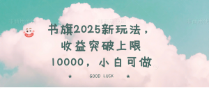 书旗2025新玩法，收益突破上限10000，小白可做-皮皮网创