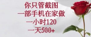 你只管截图，一部手机在家做，一小时120.一天5张【揭秘】-皮皮网创