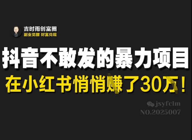 抖音不敢发的暴利项目，在小红书悄悄挣了30W-皮皮网创