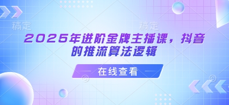 2025年进阶金牌主播课，抖音的推流算法逻辑-皮皮网创