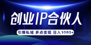 云帆·创业ip合伙人打造3.0，从0到1教你做网创，实现月入过W-皮皮网创