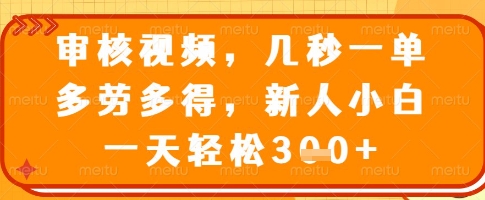 审核视频，几秒一单，多劳多得，新人小白一天轻松3张【揭秘】-皮皮网创