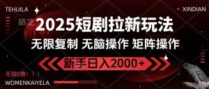 2025短剧拉新玩法，无需注册登录，无限0撸，无脑批量操作日入2000+-皮皮网创