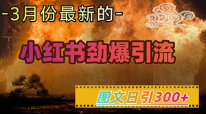小红书超劲爆引流手段，图文日引300+轻松变现1W-皮皮网创