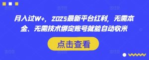 月入过W+，2025最新平台红利，无需本金、无需技术绑定账号就能自动收米-皮皮网创