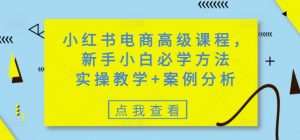 小红书电商高级课程,新手小白必学方法,实操教学+案例分析-皮皮网创