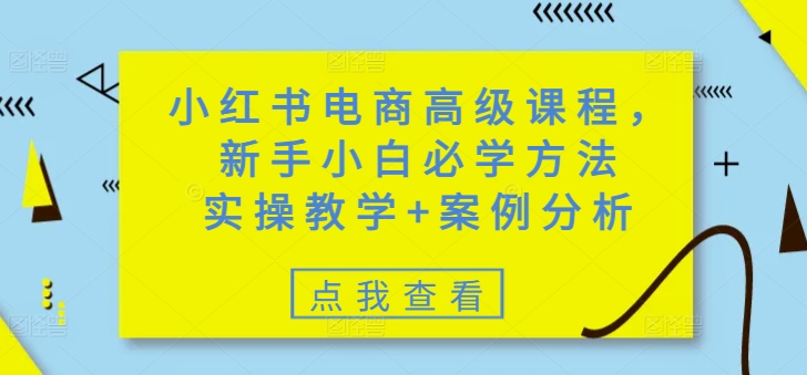小红书电商高级课程，新手小白必学方法，实操教学+案例分析-皮皮网创
