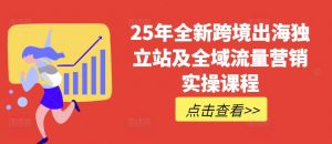 25年全新跨境出海独立站及全域流量营销实操课程，跨境电商独立站TIKTOK全域营销普货特货玩法大全-皮皮网创