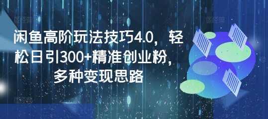 闲鱼高阶玩法技巧4.0，轻松日引300+精准创业粉，多种变现思路-皮皮网创