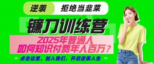 镰刀训练营超级IP合伙人，25年普通人如何通过“知识付费”实现逆袭-皮皮网创