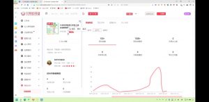 2025小红书虚拟电商实战课-皮皮网创